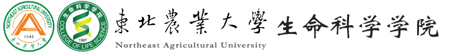 U8国际官网